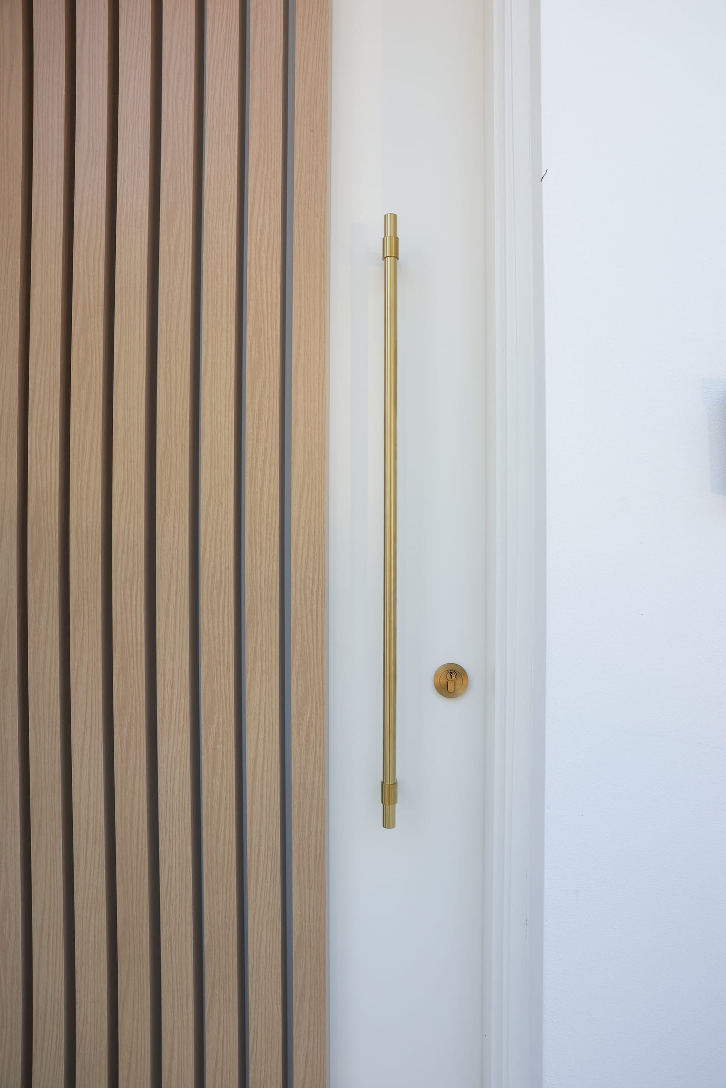 Rydalmere residence timber-look battens — photo 2