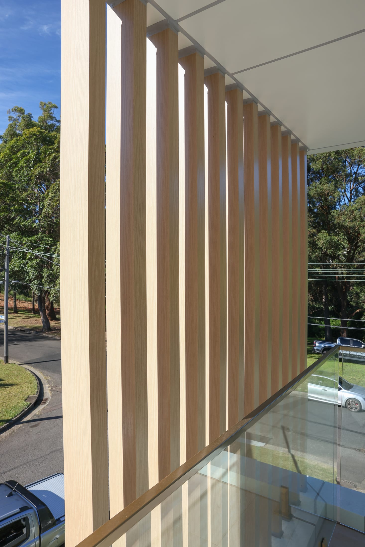 Rydalmere residence timber-look battens — photo 5