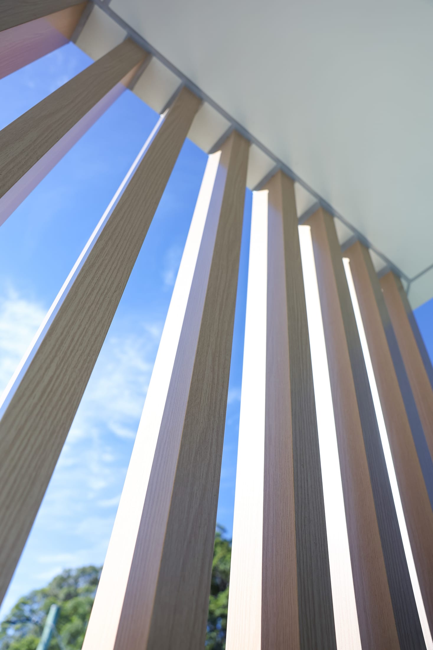 Rydalmere residence timber-look battens — photo 6