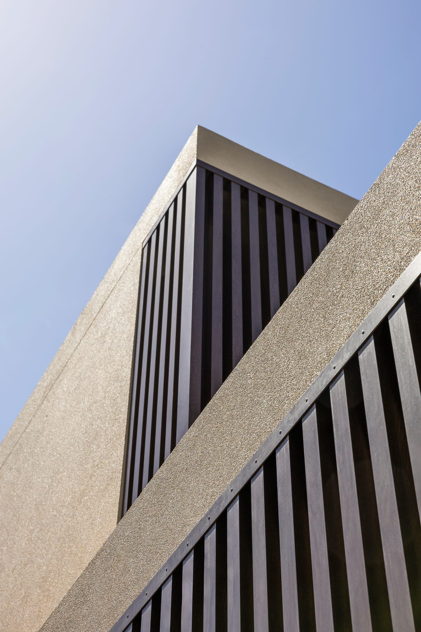 Sydney residence — contemporary facade clad in dark Burnt Oak timber-look battens against light concrete